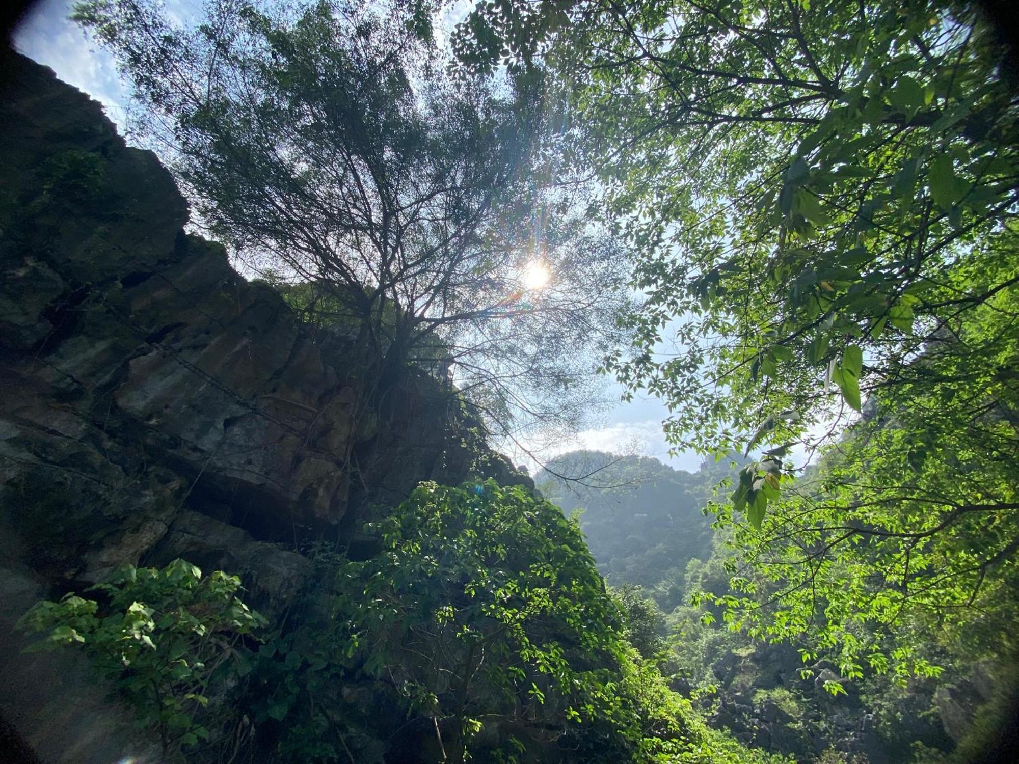 Tam Coc Moutainside Homestay 닌빈 외부 사진